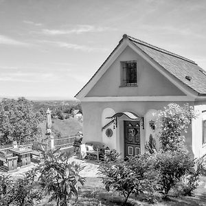 Oberhaag Ferienhaus "Troadkammer" In Der Suedsteiermark 빌라 Exterior photo