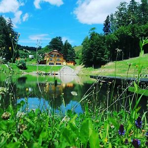 Zgornja Kungota Zelena Oaza B&B Exterior photo