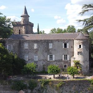 Saint-Etienne-Vallee-Francaise Le Chateau De Cambiaire B&B Exterior photo