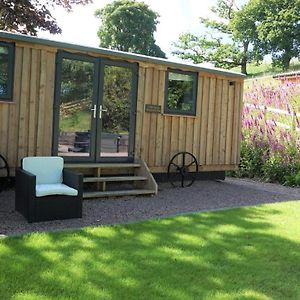 Little Acorn - Luxury Shepherd'S Hut / Lodge With Private Hot Tub And Garden 랜필린 Exterior photo