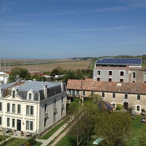 Le Domaine Du Meunier 호텔 Mortagne-sur-Gironde Exterior photo