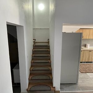 시기쇼아라 Apartament Stefi 아파트 Exterior photo