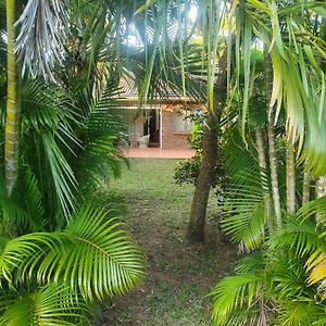 Whispering Palms St Lucia 아파트 Exterior photo