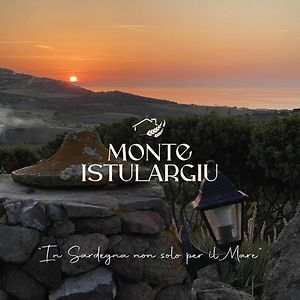 발레도리아 Agriturismo Monte Istulargiu 빌라 Exterior photo