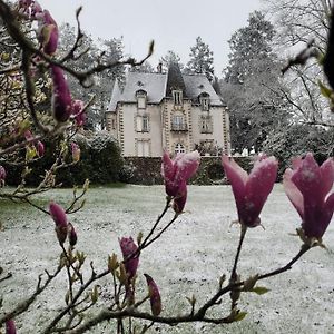 Saint-Léonard-de-Noblat Chateau Maleplane B&B Exterior photo