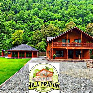 Vila Pratum 호텔 Geoagiu de Sus Exterior photo