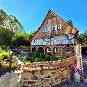 Seifhennersdorf Pferdehof Am Burgsberg, Ferienzimmer, Monteurzimmer 아파트 Exterior photo