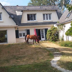 Verrieres-en-Anjou La Fantasia B&B Exterior photo