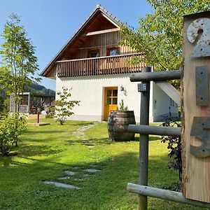 Breitenau am Hochlantsch Almhaus Teichalm/Sommeralm 빌라 Exterior photo