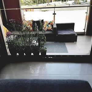 가르볼린 Apartament Nad Wilga 아파트 Exterior photo