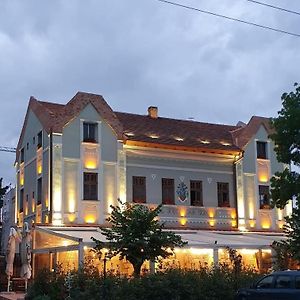 Conacul Sfantul Sava Brancovici 호텔 Ineu  Exterior photo