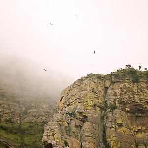 Cape Vulture Conservancy 호에드스프뤼트 Exterior photo