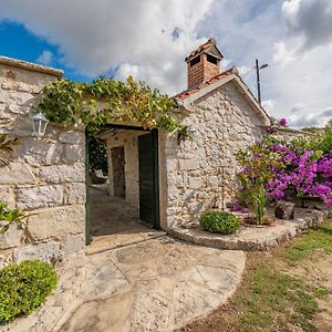 Villa Torine Zapuzane Exterior photo