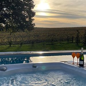 Saint-Thierry Best View, Pool And Spa On The Champagne Vineyard 아파트 Exterior photo