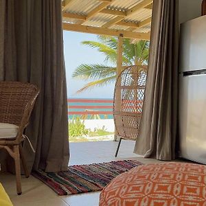 Casita Del Mar Oceanfront Romantic Retreat In Islote 아레시보 Exterior photo