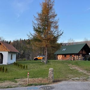 Schwarzenberg am Bohmerwald Berghuette - Chalet Fuer Max 5 Personen - Schwarzenberg Am Boehmerwald 빌라 Exterior photo