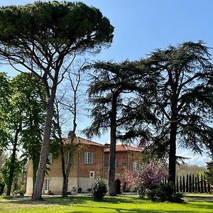 Chateau Du Go 알비 Exterior photo