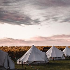 Coonawarra Bush Holiday Park Exterior photo