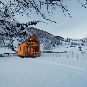 메스티아 Wood House 게스트하우스 Exterior photo