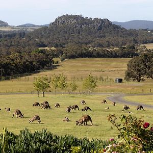 우드엔드 Hanging Rock Views B&B Exterior photo