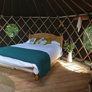 펀허스트 'Oak' Yurt In West Sussex Countryside 빌라 Exterior photo