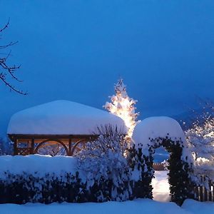 B&B Benvenuti - Dolomiti Di Brenta 타술로 Exterior photo