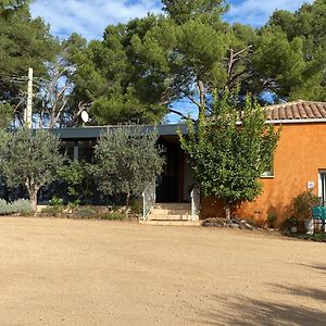 Lacoste  Chambre D'Hotes - Petit Paradyzen - Lac Du Salagou B&B Exterior photo