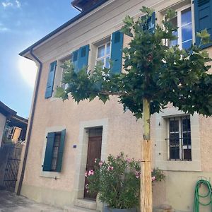 Mont-sur-Rolle Charming Vinyard House - Lake Geneva 빌라 Exterior photo