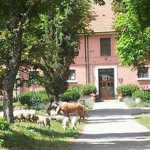 Country House Villa Delle Rose Agriturismo 리오네로 불투레 Exterior photo