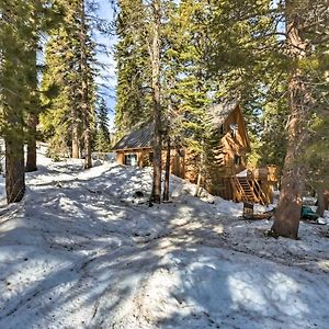 Tamarack Bear Valley Cabin - Ski To Cross Country Trails! 빌라 Exterior photo