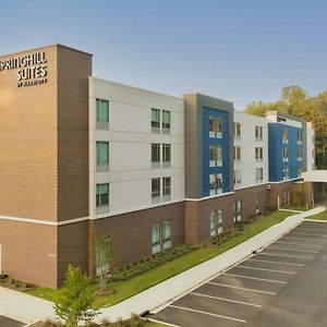 Springhill Suites By Marriott Charlotte 헌터스빌 Exterior photo