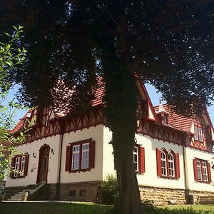 Gastehaus "Unsere Stadtvilla" 헤힝겐 Exterior photo