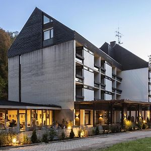 Hotel Luisenpark 바트버그자베른 Exterior photo