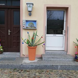 Stepenitz Zur Alten Eiche B&B Exterior photo