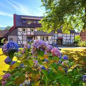 한노버슈문덴 Gaestehaus Am Weser-Radweg 아파트 Exterior photo