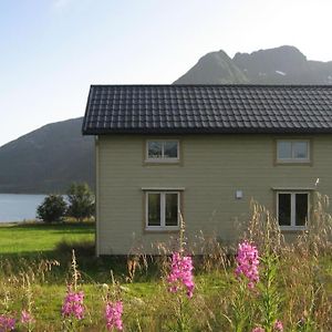 Laupstad Charming House By The Sea, Lofoten! 빌라 Exterior photo