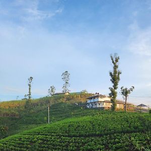 하톤 Tranquil Ridge Hilltop Bungalow B&B Exterior photo