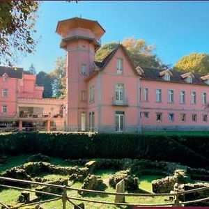 Palace Hotel & Spa - Termas De Sao Vicente 페나피엘 Exterior photo