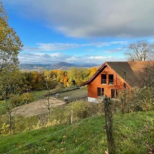 Gempen Wunderschoenes Gaestehaus Mit Grandioser Aussicht 아파트 Exterior photo