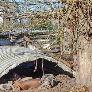 Arlingham The Cow Shed 빌라 Exterior photo