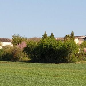 La Cabane Du Vigneron Donnazac Exterior photo