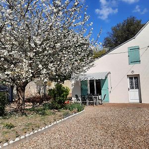 Gite Le Petit Anzan En Indre Et Loire 호텔 누아제 Exterior photo