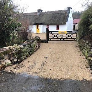 Sweet Meadow A Delightful Romantic Thatched Cottage By River Shannon On 4 Acres Is For Peace Party Family Or Work From Home 루스키 Exterior photo