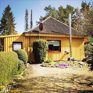 Rehburg-Loccum Gelbes Haus Bei Mardorf Am Steinhuder Meer 빌라 Exterior photo