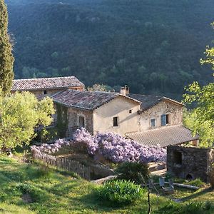 Mialet  Gite Le Cambon B&B Exterior photo