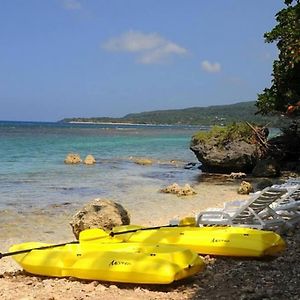 Oceanside Villa @ Ocho Rios, Jamaica Getaway 보스코벨 Exterior photo