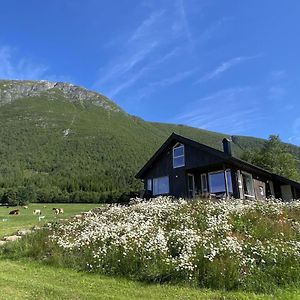 Isfjorden Heinali Hytta 빌라 Exterior photo