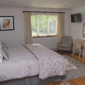 Cherry Tree Guesthouse 브래드포드온아본 Room photo