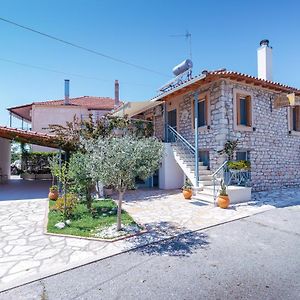 Loggos Elia House 1 Near Nafpaktos 아파트 Exterior photo