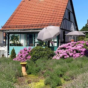 글라스후텐 Ferienhaus Mit Sauna, Wintergarten Und Terrasse Im Schoenen Hochtaunus 빌라 Exterior photo